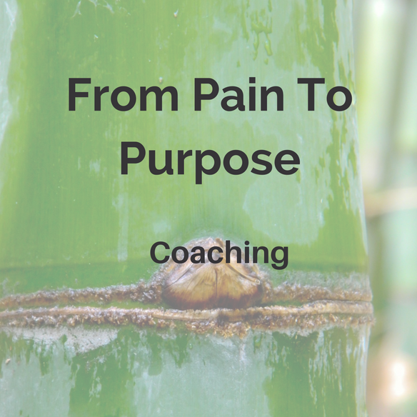 from-pain-to-purpose-1